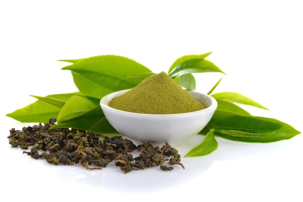GREEN TEA EXTRACT
