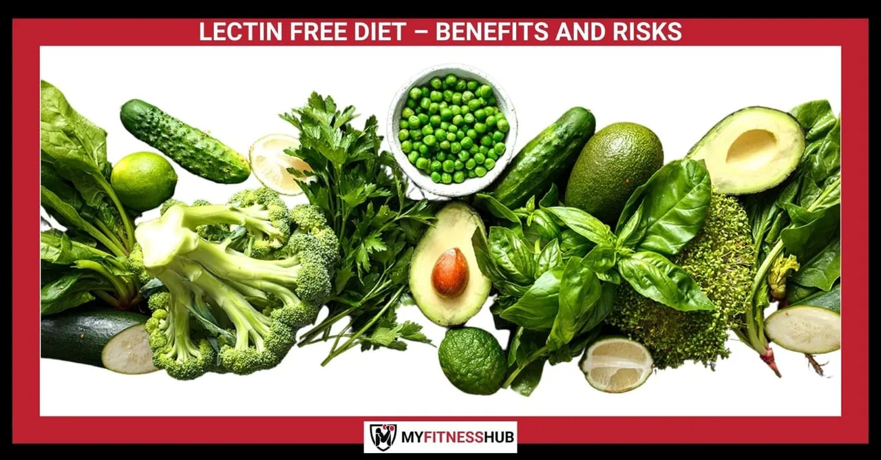 LECTIN FREE DIET – BENEFITS AND RISKS, Nutrition guide