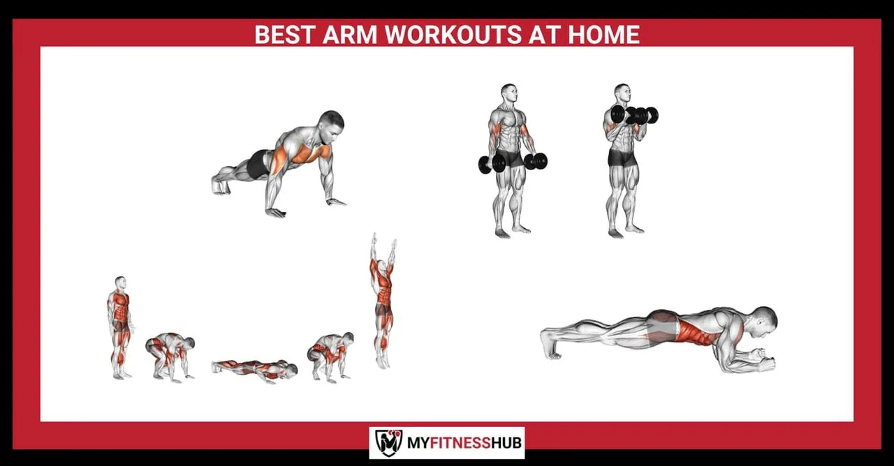 BEST ARM WORKOUTS AT HOME, Guides guide