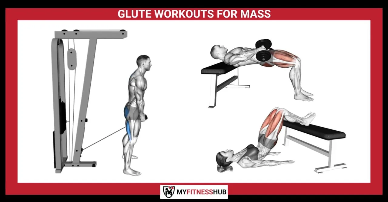 GLUTE WORKOUTS FOR MASS: Strategies for Gaining Size and Strength in Your Glutes, Guides guide